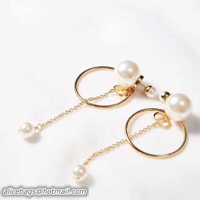 Expensive Cheap Dior Earrings CE2215