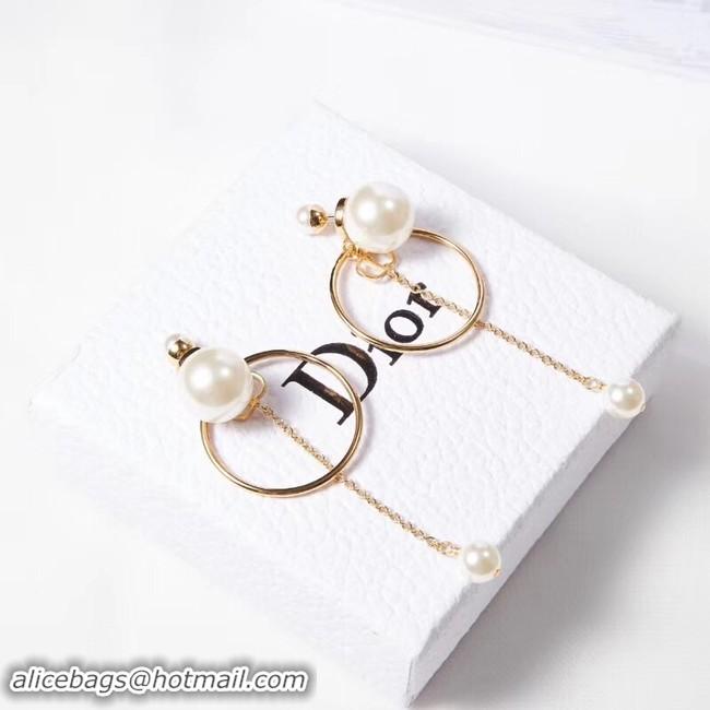 Expensive Cheap Dior Earrings CE2215