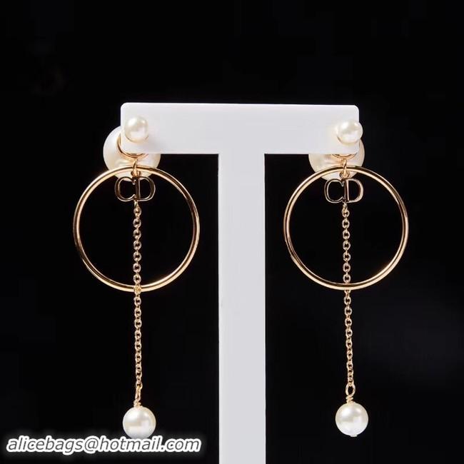 Expensive Cheap Dior Earrings CE2215