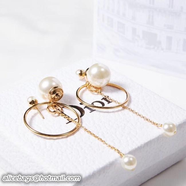 Expensive Cheap Dior Earrings CE2215