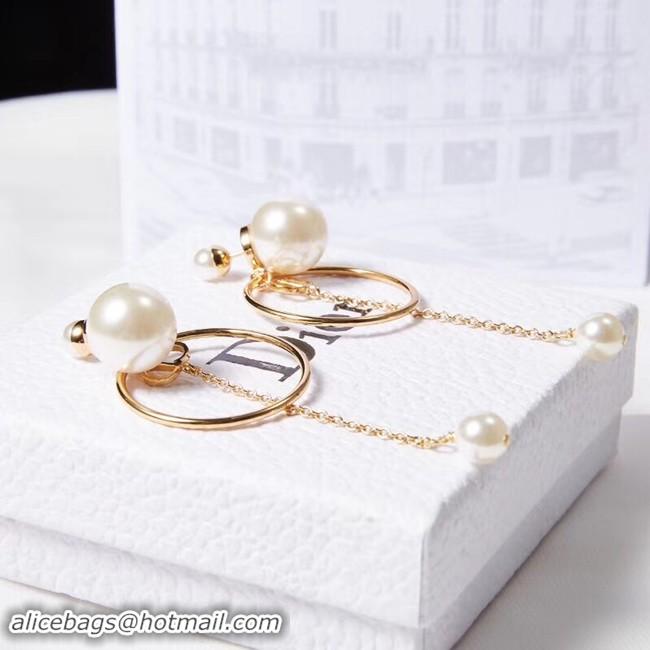 Expensive Cheap Dior Earrings CE2215