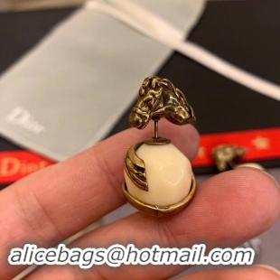 Hot Sell Dior Earrings CE2234