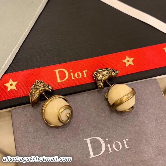 Hot Sell Dior Earrings CE2234