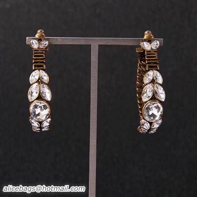 Top Cheapest Dior Earrings CE2279