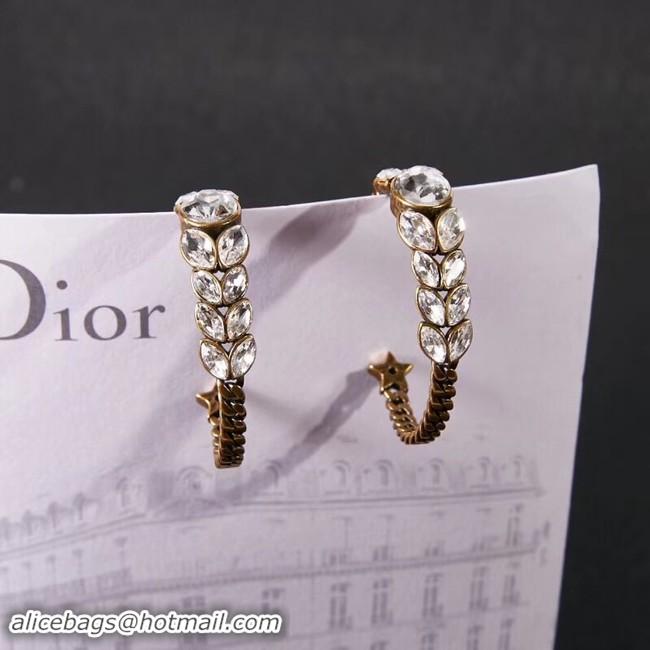 Top Cheapest Dior Earrings CE2279