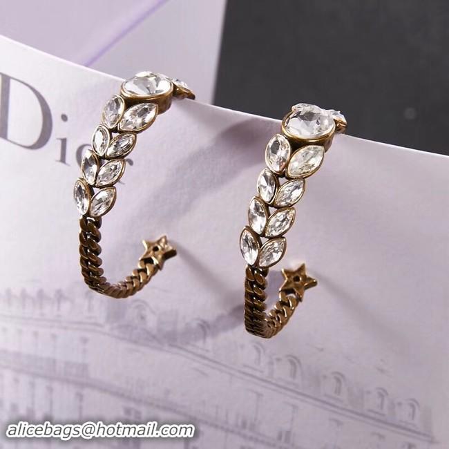 Top Cheapest Dior Earrings CE2279