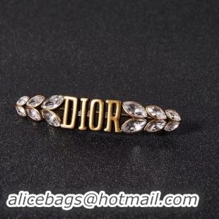 Hot Sell Discount Dior Brooch CE2280