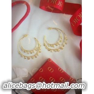 Imitation Low Cost Dior Earrings D23890