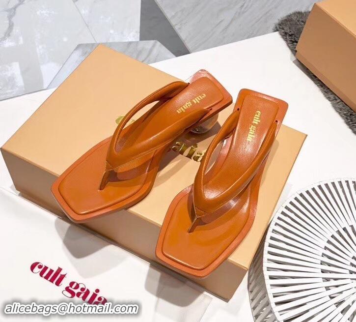 Best Luxury cult gaia 5cm heel jasmin sandals 525758 orange