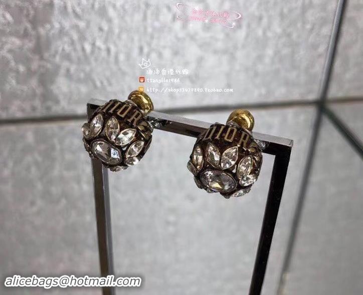 Charming Dior Earrings J717272