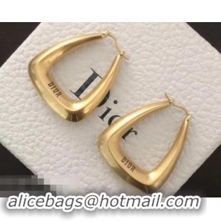 Top Grade Dior Earrings J717274