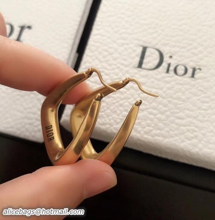 Top Grade Dior Earrings J717274