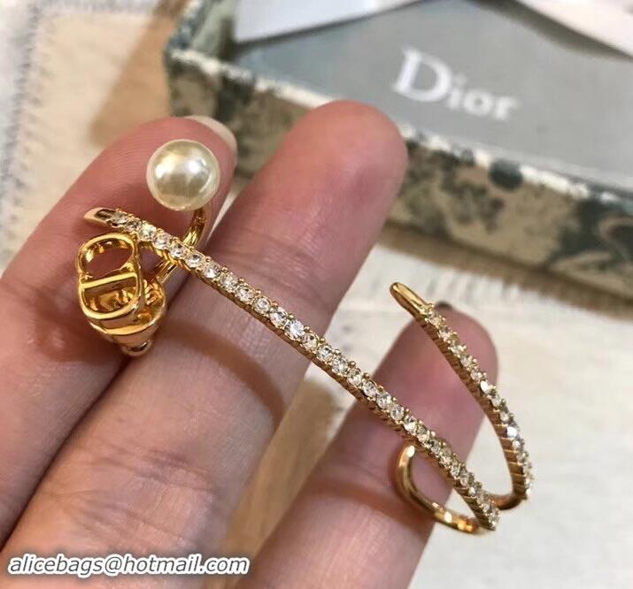 Discount Dior Earrings J717343