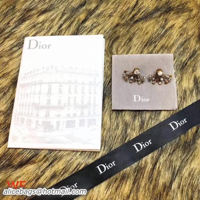 Stylish Dior Earrings CE3496