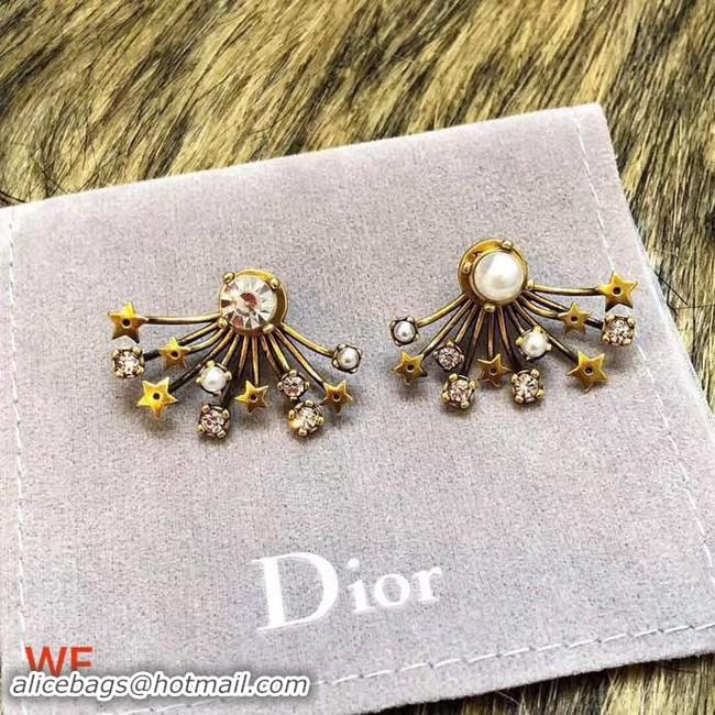 Stylish Dior Earrings CE3496