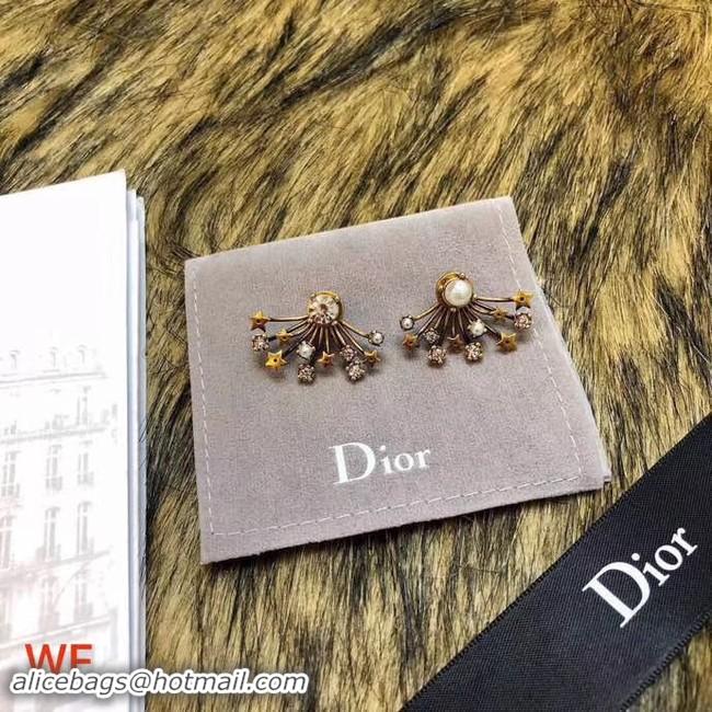 Stylish Dior Earrings CE3496