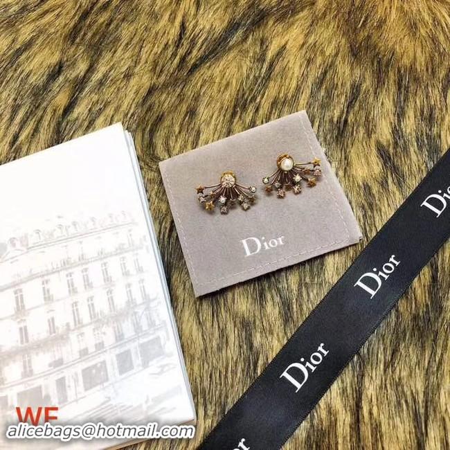 Stylish Dior Earrings CE3496