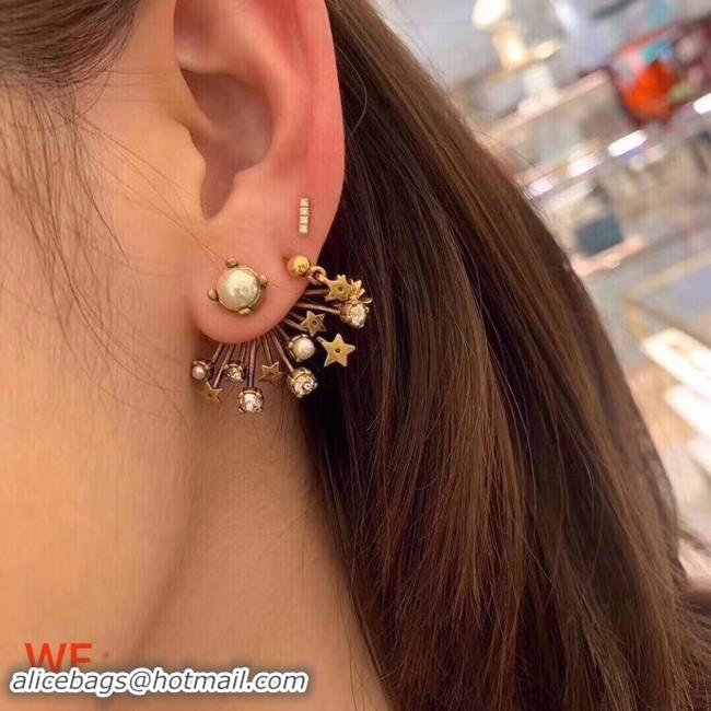 Stylish Dior Earrings CE3496