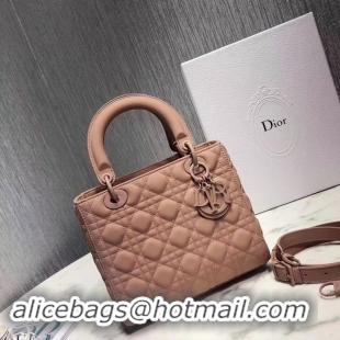 New Fashion Dior ULTRAMATTE LADY DIOR-TAS M0565S pink