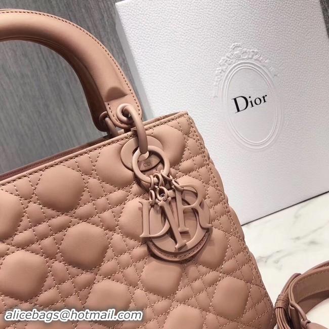 New Fashion Dior ULTRAMATTE LADY DIOR-TAS M0565S pink