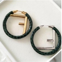  Famous Brand Discount Fendi Earrings CE2148