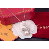 Luxury Discount Cartier Necklace CTN14071009