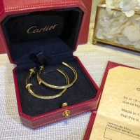 Hot Sell Fashion Cartier Earrings CE2313 Gold