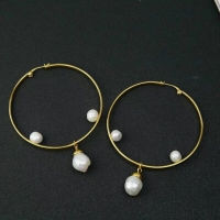 Modern Classic Discount CELINE Earrings CE2302