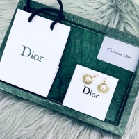 Luxury Discount Dior Earrings CE2020