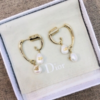 Low Price Discount Dior Earrings CE2021