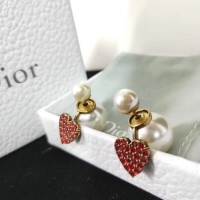 Buy Faux Discount Dior Earrings CE2110