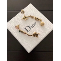 Best Price Dior Earrings CE2134