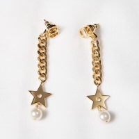 Most Popular Faux Dior Earrings CE2191