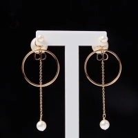 Expensive Cheap Dior Earrings CE2215