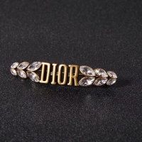 Hot Sell Discount Dior Brooch CE2280