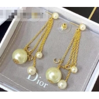 Best Quality Dior Earrings J717345