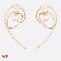 Practical Dior Earrings CE3475