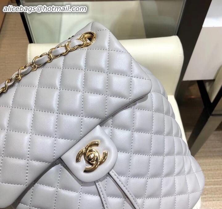 Popular Style Chanel Quilting sheepskin Backpack Bag A91121 gray with gold hardware