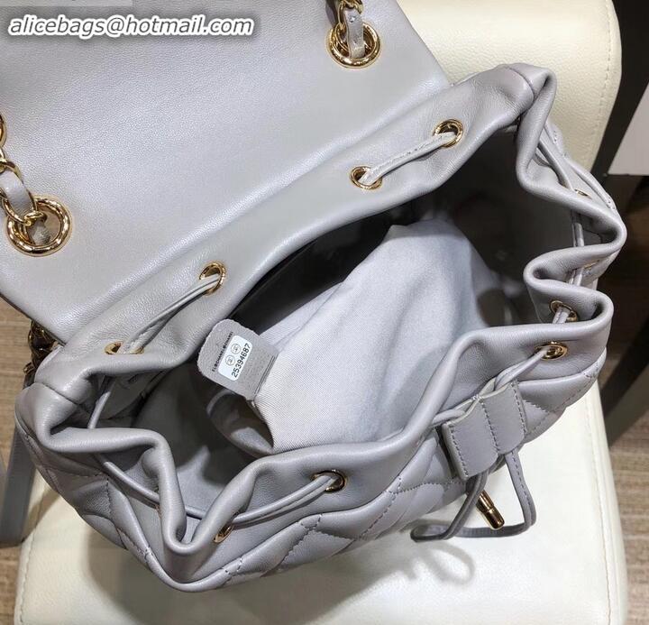 Popular Style Chanel Quilting sheepskin Backpack Bag A91121 gray with gold hardware