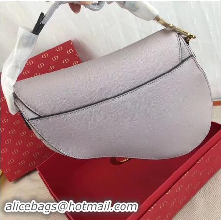 Shoulder Carry Dior SADDLE-TAS VAN KALFSLEER M0446C light violet