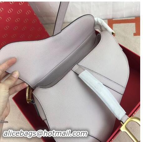 Shoulder Carry Dior SADDLE-TAS VAN KALFSLEER M0446C light violet