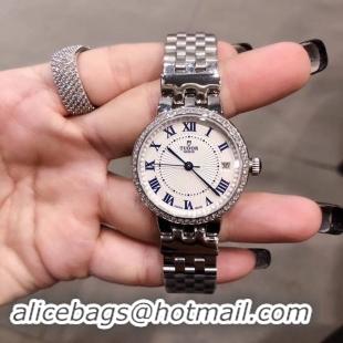 Classic Hot Tudor Watch T20543