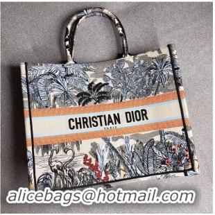 Sophisticated DIOR BOOK TOTE BAG IN EMBROIDERED CANVAS C1286 Light Grey