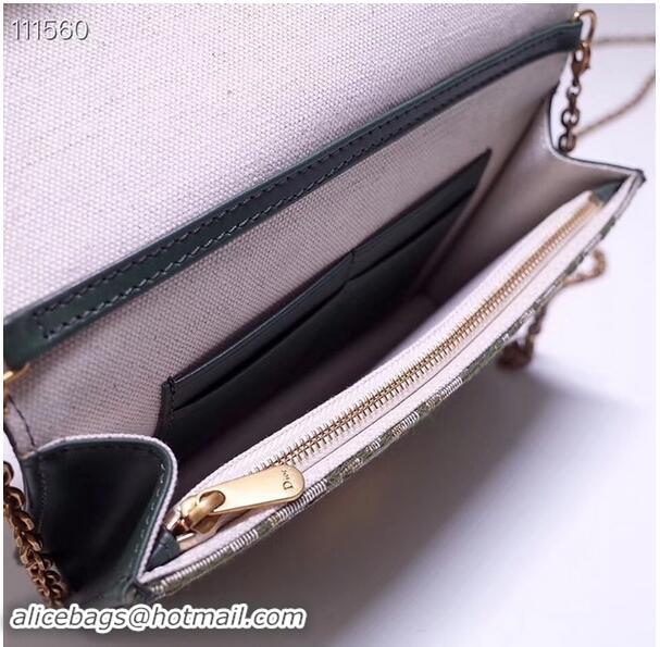 Comfortable Faux Dior DIORAMA leather Chain bag S2012 green