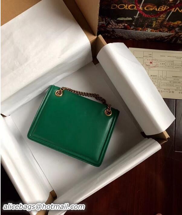 Good Quality Dolce & Gabbana Calfskin Leather 4046 green