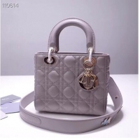 Cheapest Dior lucky badges Original sheepskin Tote Bag A88035 grey