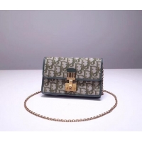 Comfortable Faux Dior DIORAMA leather Chain bag S2012 green