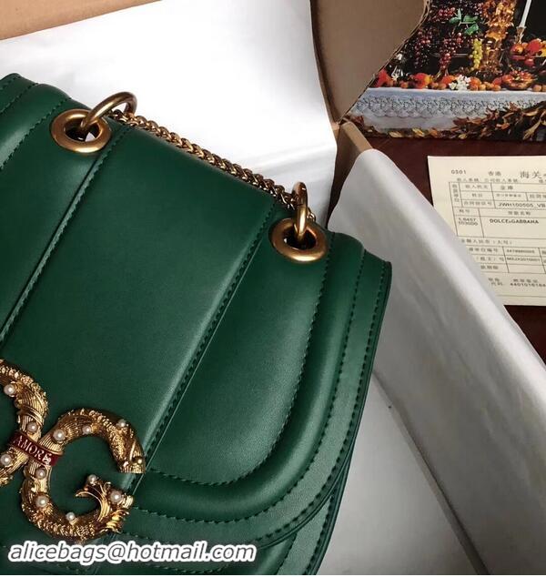 Reasonable Price Dolce & Gabbana Origianl Leather Bag 4917 Green