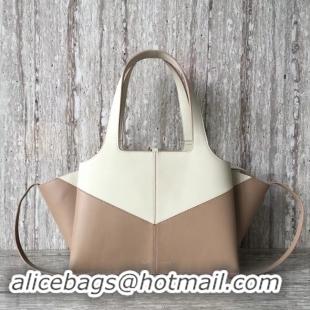 Luxury Celine calf leather Tote Bag 43342 White&apricot