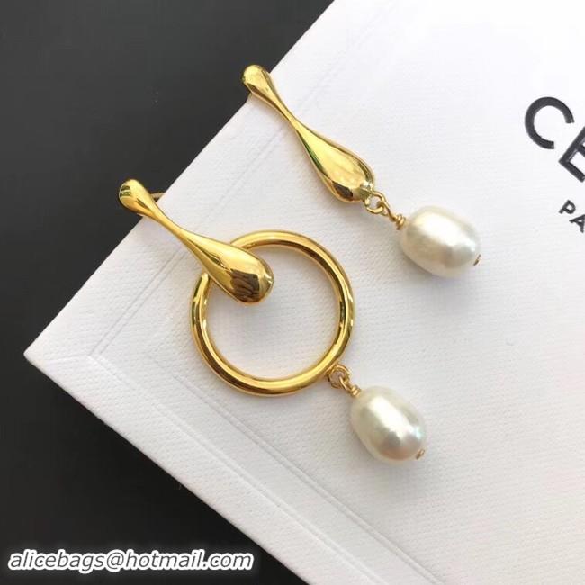 Fashion Cheap CELINE Earrings CE4215